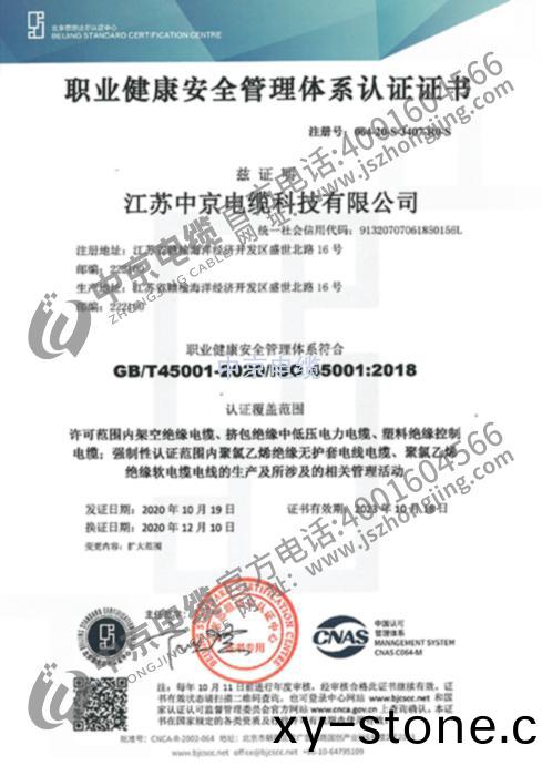 中京電(dian)纜 職(zhi)業(ye)健康認(ren)證證書(shu)